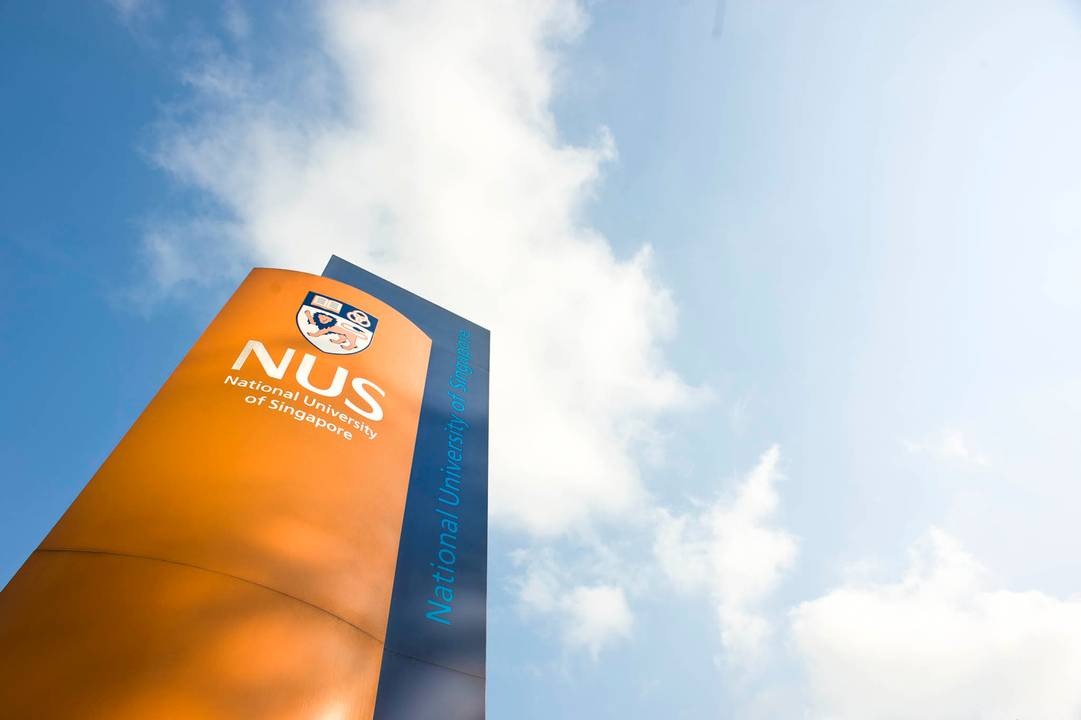 NUS to establish Sustainable and Green Finance Institute to drive green ...